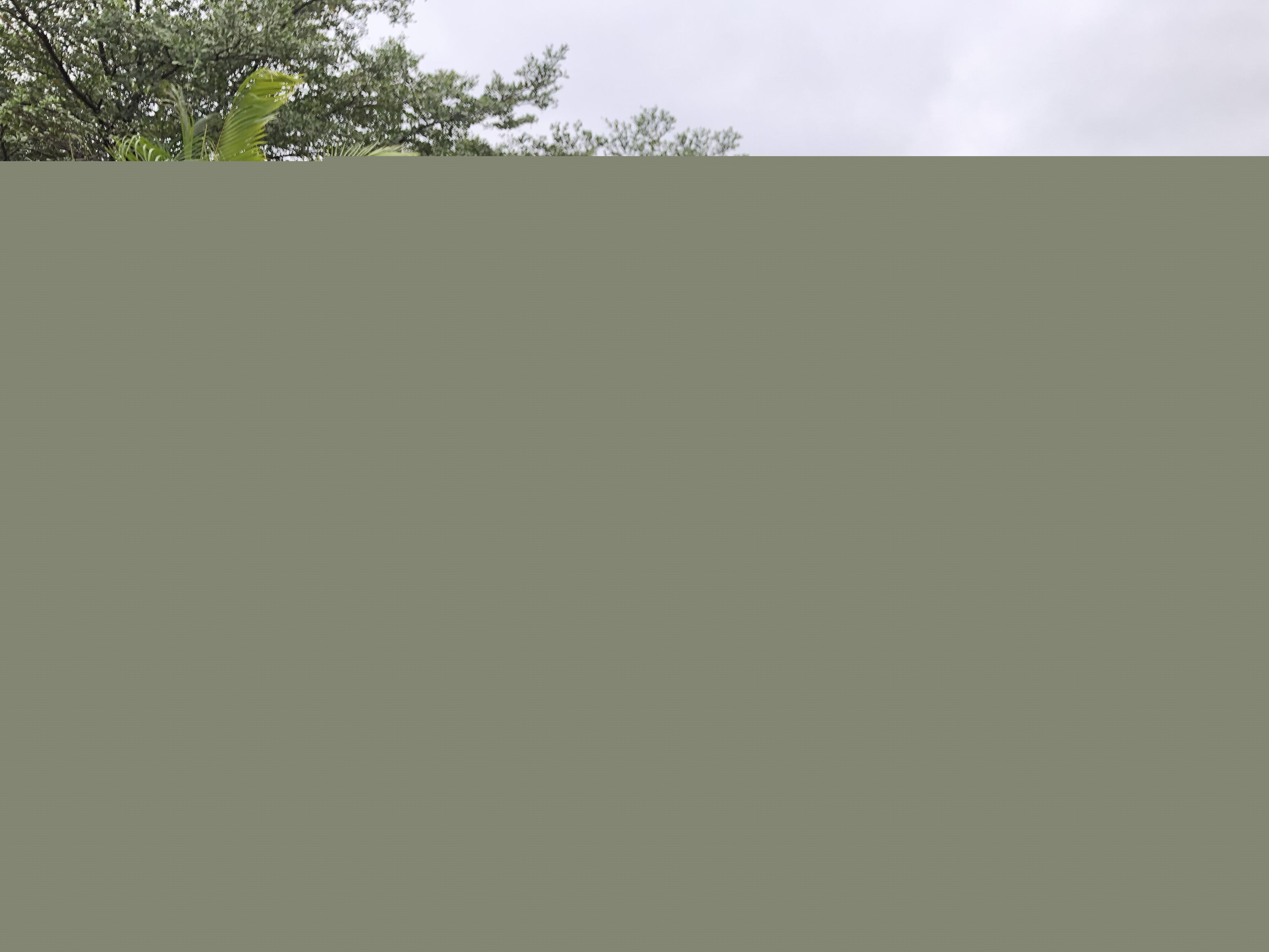 协会动态 | 湾区设计行系列沙龙深圳站圆满举办